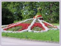 Райский сад и базилика